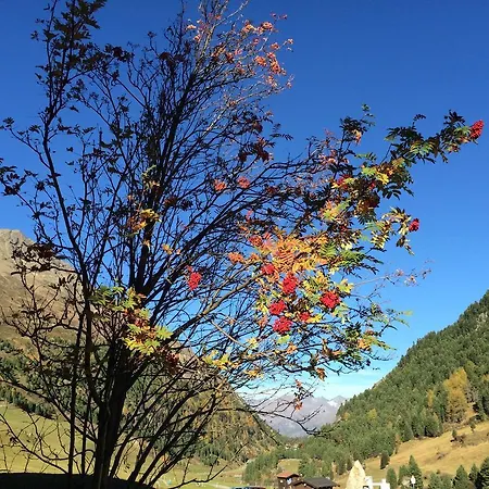 Appartement Wildspitz'