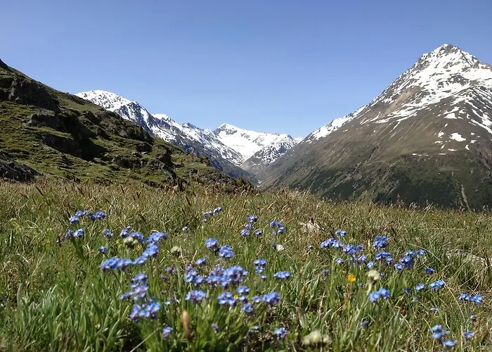 アパート Wildspitz' *