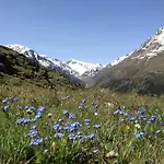 Διαμέρισμα Wildspitz' *