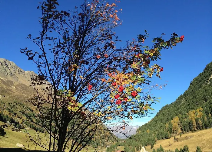 Appartement Wildspitz'